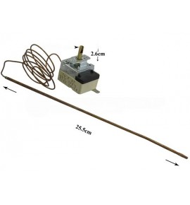 ΘΕΡΜΟΣΤΑΤΗΣ ΕΠΑΓΓΕΛΜΑΤΙΚΟΣ ΦΟΥΡΝΟΥ CAEM 2 ΕΠΑΦΩΝ 50-300°C